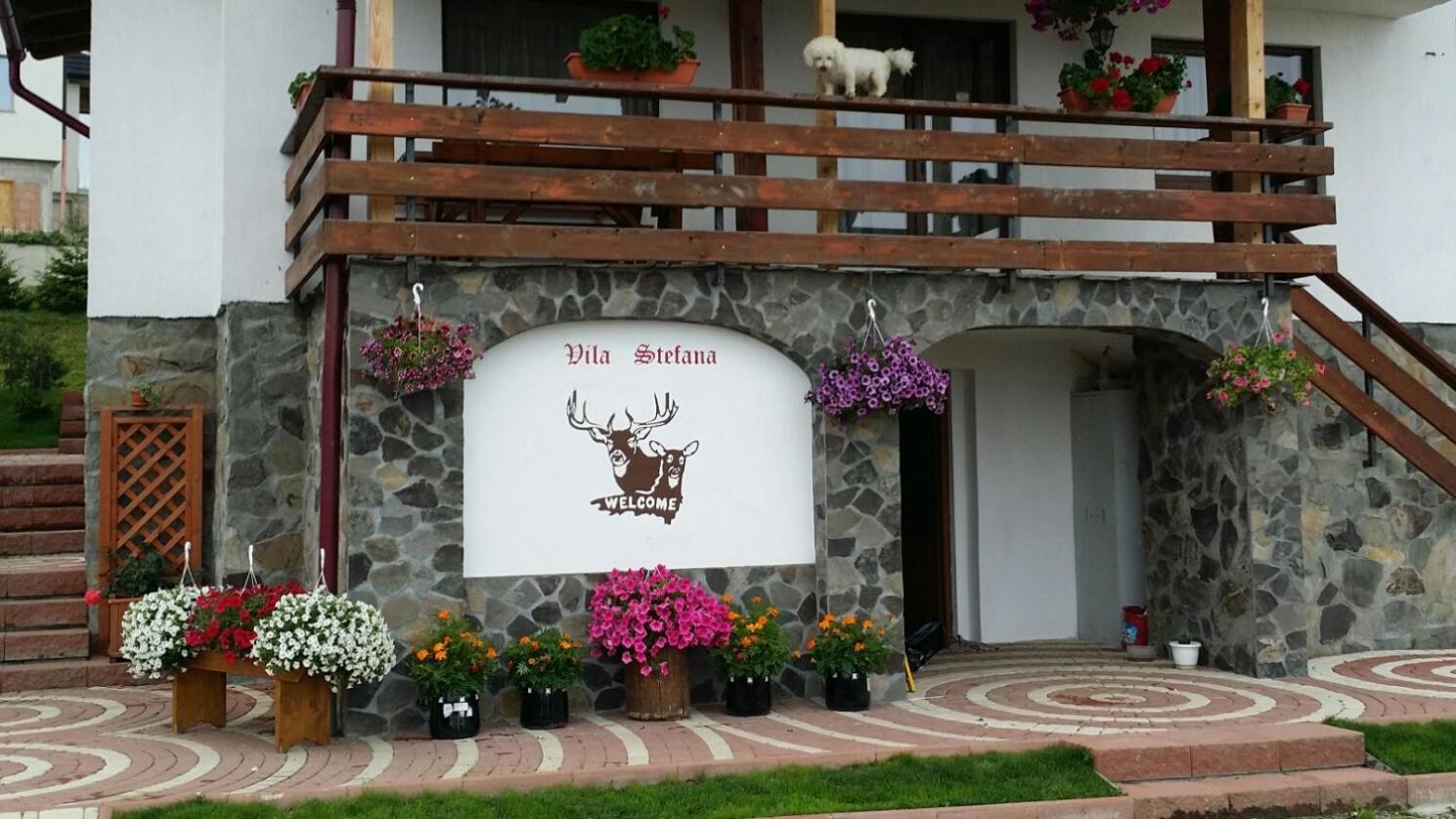 Vila Stefana Paltinis Exterior foto